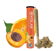 Kicks Cartridge
